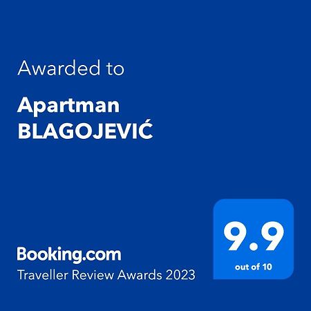 Apartman Blagojevic Banja Koviljaca Exterior photo